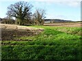 Ditch flowing through farmland