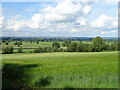 Farmland near Nunnington