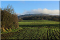 Field near Water Hall Farm