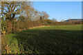 Field Boundary near Water Hall Farm