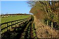 Bridleway above Butter Dale