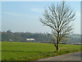 View towards South Cottages, Hadham Ford