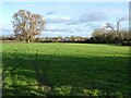 Farmland beside Lower Howsell Road