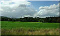 NO4445 : Crop field towards woodland, Invereighty by JThomas