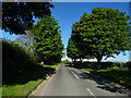 Road out of Terrington