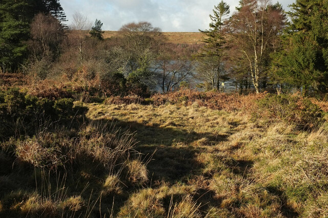 Venford Reservoir, South Hams - area information, map, walks and more