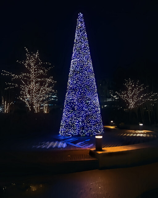 MediaCityUK Christmas Tree