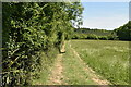 Footpath by field boundary