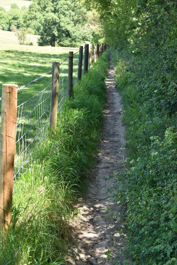 Narrow footpath © N Chadwick cc-by-sa/2.0 :: Geograph Britain and Ireland