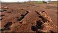 Neolithic and Bronze Age settlement