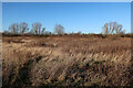 TL3773 : Marshy area, Ouse Fen by Hugh Venables