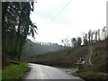 Forestry work, Gatcombe Copse