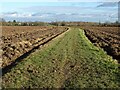 A well defined footpath