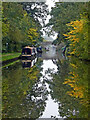 Canal approaching Wheaton Aston in Staffordshire