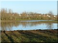 Pond adjacent to the Rivendell development