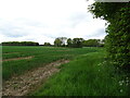 Crop field near the River Foss