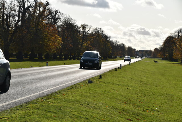 Chestnut Avenue