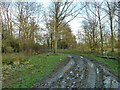 Muddy farm track, Little Baddow