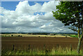 Field towards Birkenbush