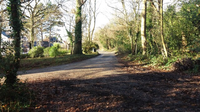 Bridleway joins Ivy House Lane