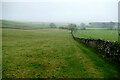 Fields at Sunbiggin