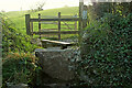 Double stile and gate by Paignton Road