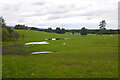NN9814 : Former golf course, Whitemoss by Richard Webb