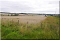 Barley harvest, Haugh of Aberuthven