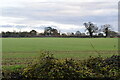 Arable field by Mill Lane