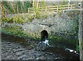 Culvert under the old railway line