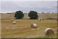 Round bales and an expanding Auchterarder