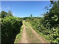 Farm track and footpath