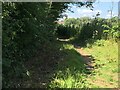 Footpath to Blackberry Lane