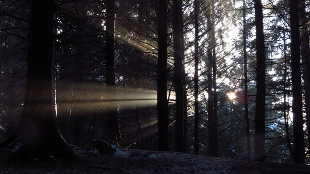 Shafts of sunlight through trees above Dimples, Macclesfield Forest