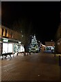 Christmas Tree on Market Place