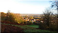 Overton, Frodsham from Beacon Hill