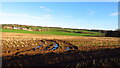 New Pale & harvested field, Manley Common