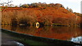 Styperson Pool near Bollington