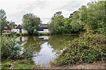 TQ1743 : Beare Green Pond by Ian Capper