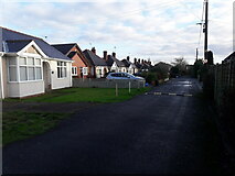 SJ7408 : Bungalows on Haughton Drive by Richard Law