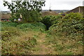 Footpath into Folkestone