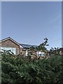 TF0820 : Blue sky with Christmas vapourtrail by Bob Harvey