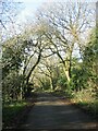 The lane to Canley Ford