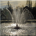 TQ2680 : Fountain, Italian Gardens, Kensington Gardens by Roger Jones
