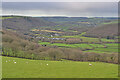 The Vale of Rheidol, Christmas Day 2020