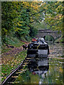 Canal moorings in Brewood, Staffordshire