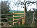 Fine stile on the Mendips