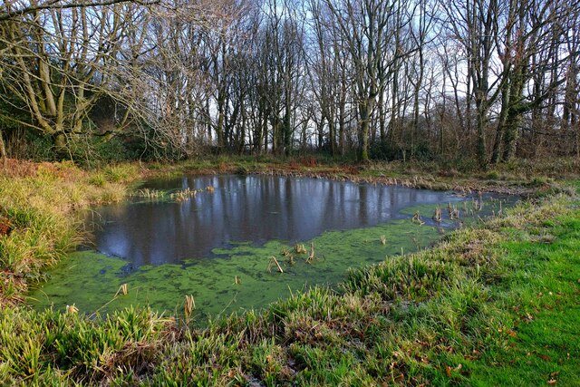 Frozen village pond on Christmas Day 2020, Trimpley, Worcs