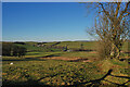 Fields on Mynydd Bach