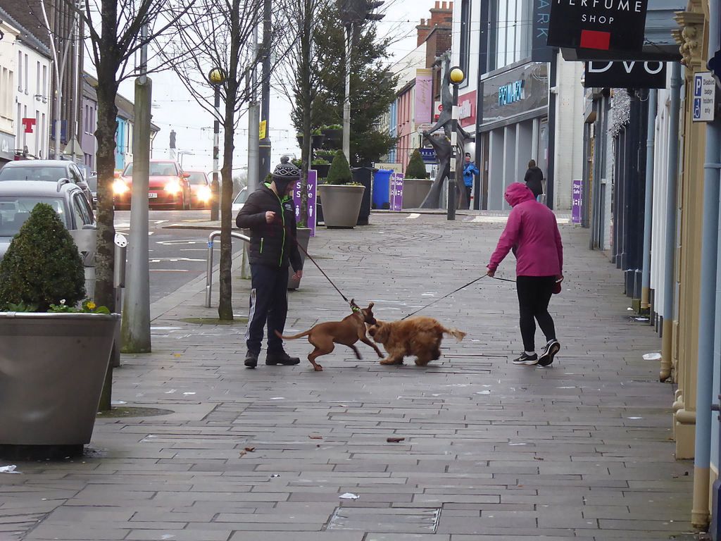 Dog walkers, High Street, Omagh © Kenneth Allen :: Geograph Ireland